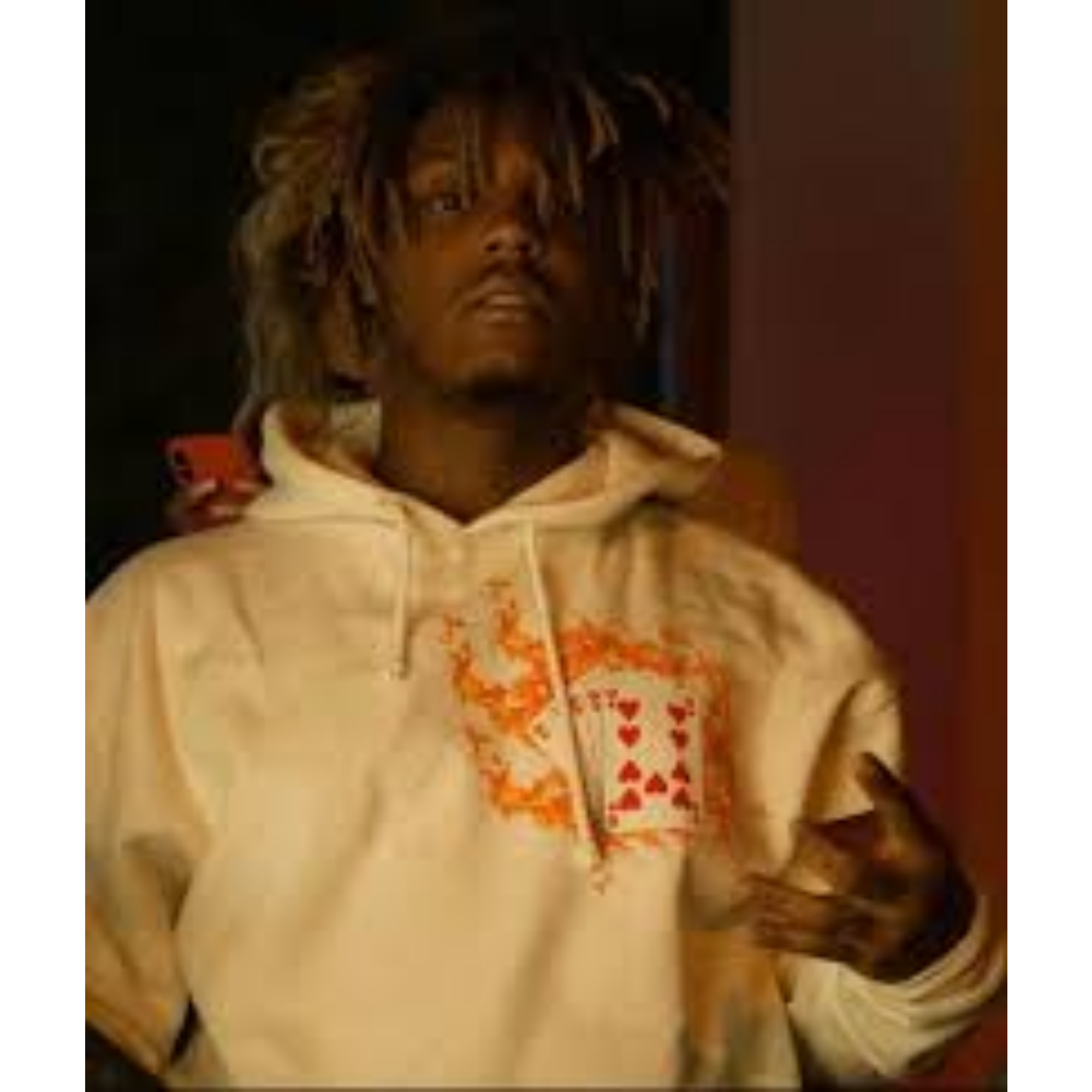 Western WRLD Hoodie Größe L & XL