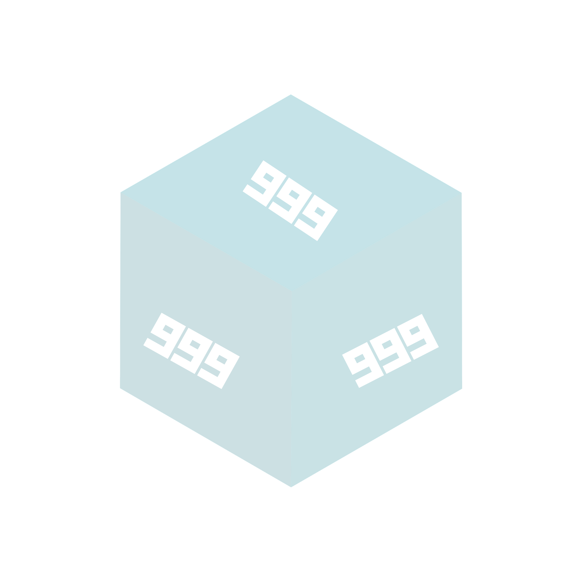 Platinum Mystery Box